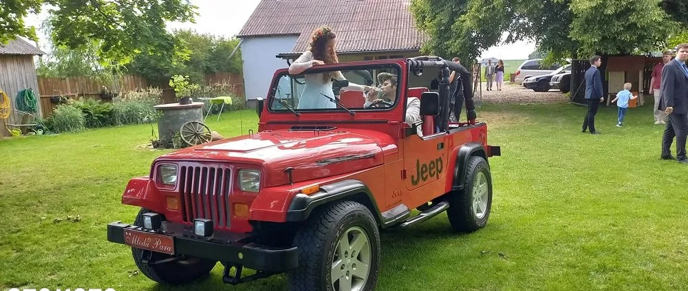 Jeep Wrangler cena 56000 przebieg: 190000, rok produkcji 1995 z Puławy małe 137